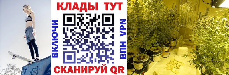 Где купить Железногорск-Илимский Кокаин 