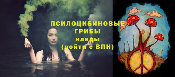 амф Алзамай