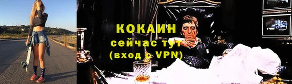 амф Алзамай