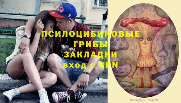 прущая мука Алексин