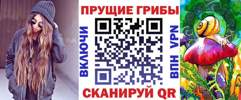 kraken зеркало Железногорск-Илимский Галлюциногенные грибы Cubensis где продают